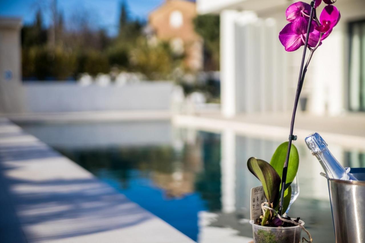 Villa Milly Vrh  外观 照片